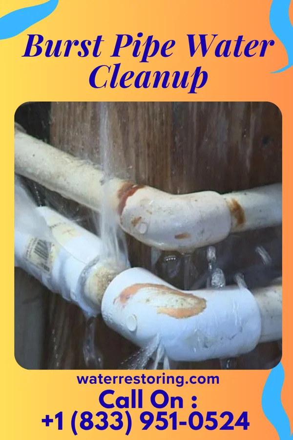 Burst Pipe Water Cleanup in The Village of Indian Hill, OH