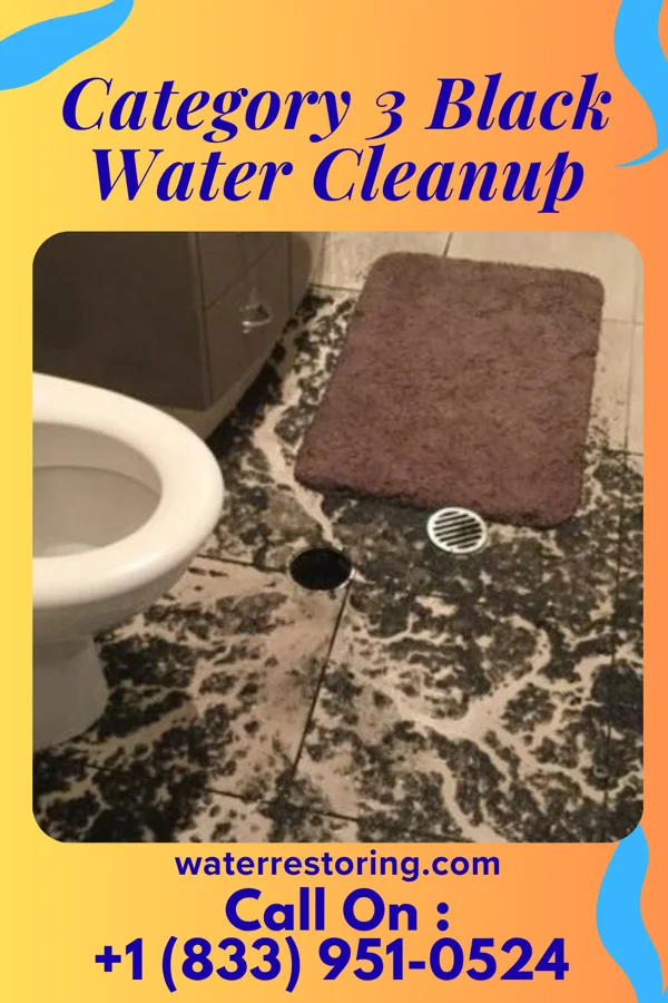 Category 3 Black Water Cleanup in The Village of Indian Hill, OH