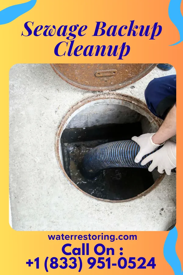 Sewage Backup Cleanup in The Village of Indian Hill, OH