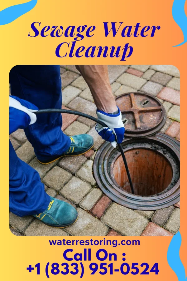Sewage Water Cleanup in The Village of Indian Hill, OH